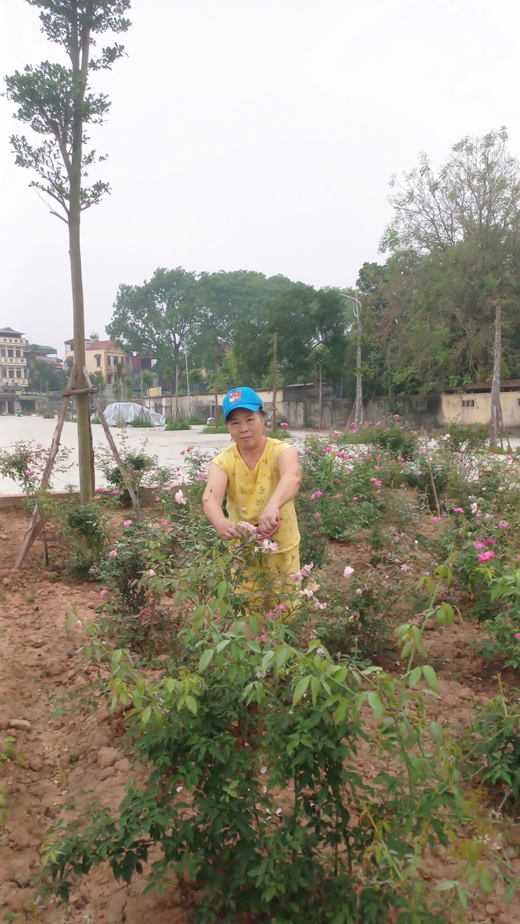 Gương sáng trong phong trào xây dựng môi trường xanh – sạch – đẹp- Ảnh 3.