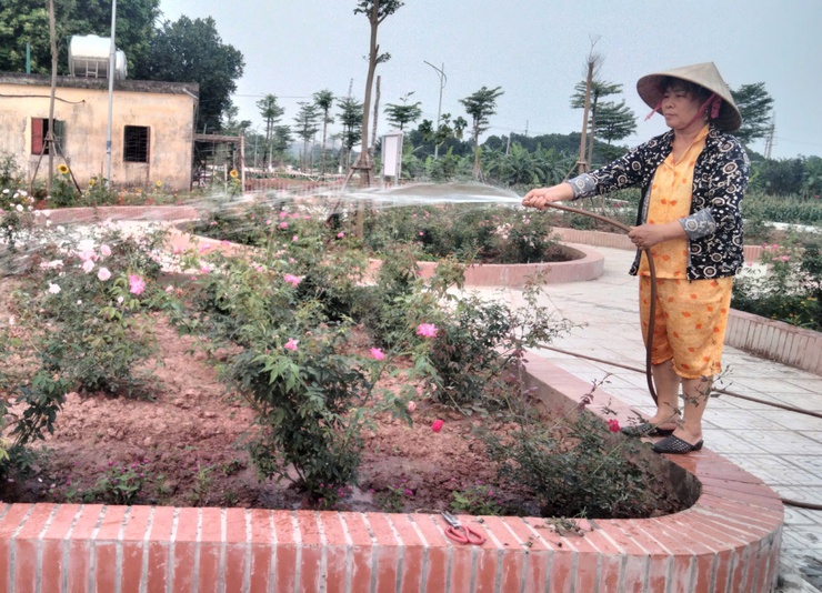 Gương sáng trong phong trào xây dựng môi trường xanh – sạch – đẹp- Ảnh 4.