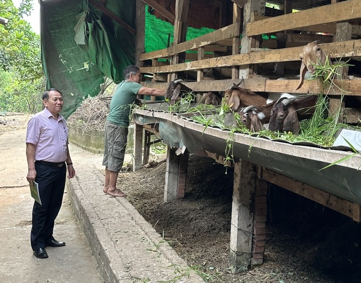 Khi Giám đốc Ngân hàng chính sách xã hội "sát cánh" cùng người dân- Ảnh 1.