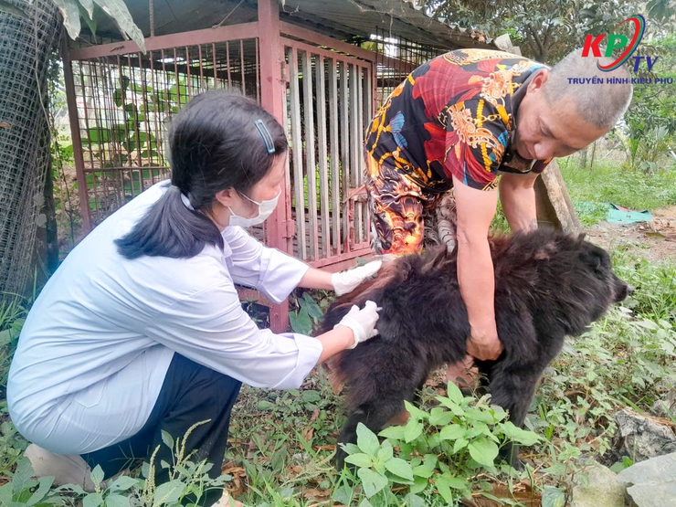 Kiều Phú tập trung tiêm phòng Dại cho đàn chó, mèo đợt 1 năm 2026 trên địa bàn- Ảnh 3.