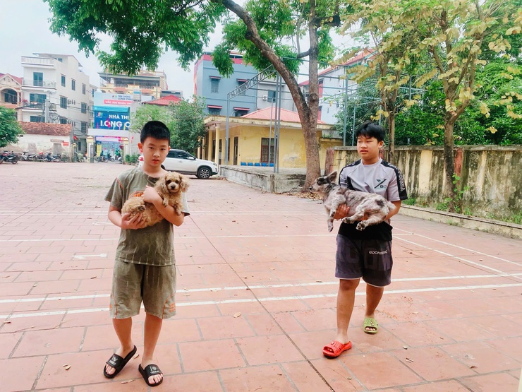 Nam Phù ra quân tiêm vắc - xin dại miễn phí cho chó, mèo- Ảnh 1.