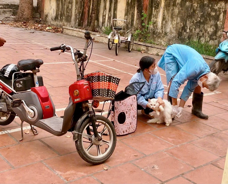 Nam Phù ra quân tiêm vắc - xin dại miễn phí cho chó, mèo- Ảnh 5.