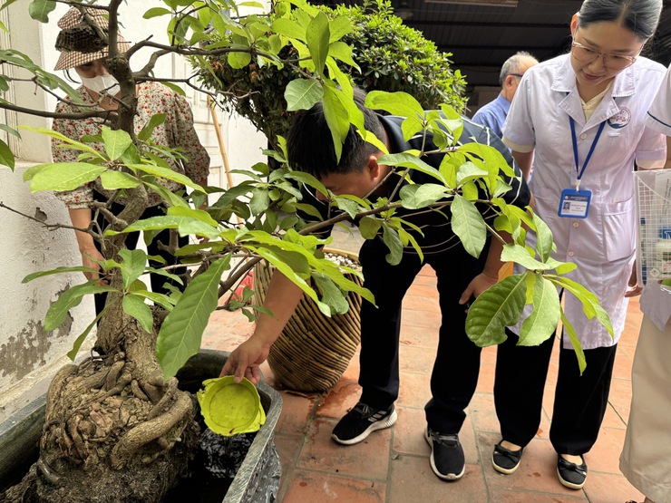 Phường Long Biên phát động cao điểm tổng vệ sinh môi trường phòng, chống bệnh sốt xuất huyết và tay chân miệng- Ảnh 3.