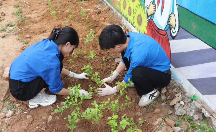 Tuổi trẻ chung tay vì cộng đồng, lan tỏa yêu thương tại xã đảo Minh Châu.- Ảnh 11.