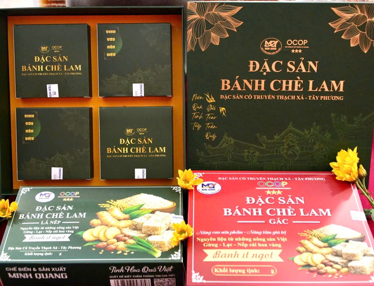 Đoàn công tác lãnh đạo xã trực tiếp khảo sát, kiểm tra thực tế tại khu vực các gian hàng trưng bày sản phẩm OCOP và làng nghề truyền thống.- Ảnh 6.