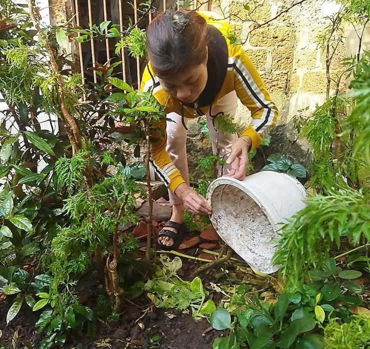 Phụ nữ xã Quảng Bị ra quân “Ngày Chủ nhật xanh”, tăng cường phòng chống sốt xuất huyết- Ảnh 2.