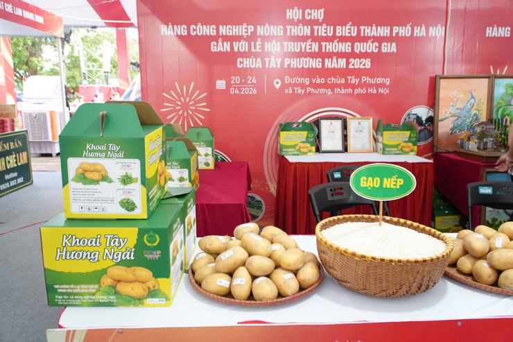 Đoàn công tác lãnh đạo xã trực tiếp khảo sát, kiểm tra thực tế tại khu vực các gian hàng trưng bày sản phẩm OCOP và làng nghề truyền thống.- Ảnh 5.