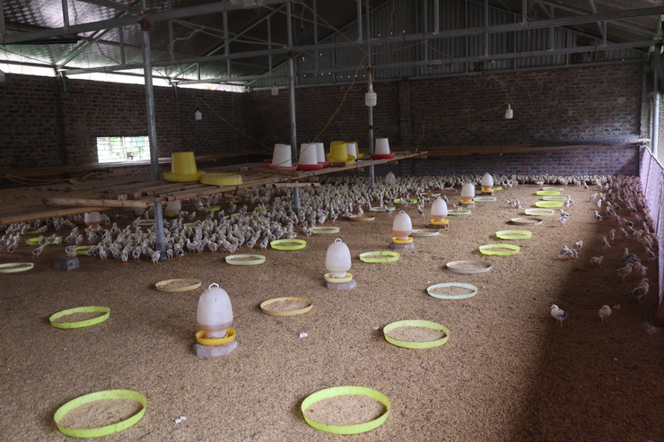 Xã Hòa Phú: Tiếp và làm việc với Đoàn công tác Hội Nông dân thành phố Hà Nội- Ảnh 5.