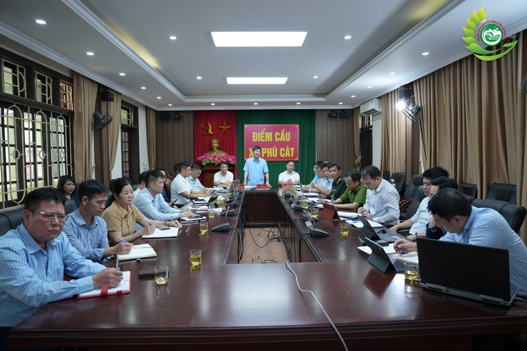 Phú Cát: Triển khai xây dựng phương án sử dụng đất liên quan Công ty CP Chè Long Phú- Ảnh 1.