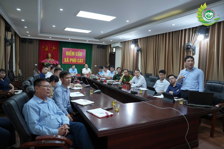 Phú Cát: Triển khai xây dựng phương án sử dụng đất liên quan Công ty CP Chè Long Phú- Ảnh 3.