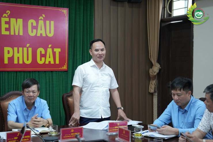 Phú Cát: Triển khai xây dựng phương án sử dụng đất liên quan Công ty CP Chè Long Phú- Ảnh 5.