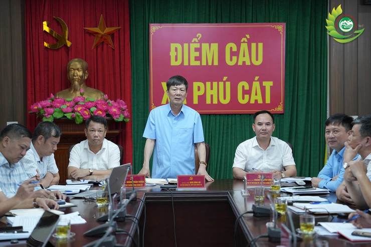 Phú Cát: Triển khai xây dựng phương án sử dụng đất liên quan Công ty CP Chè Long Phú- Ảnh 9.