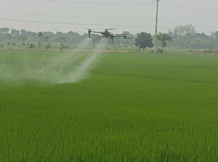 THÔN NGŨ LUÂN ỨNG DỤNG THIẾT BỊ BAY PHÒNG TRỪ BỆNH ĐẠO ÔN LÚA XUÂN- Ảnh 2.