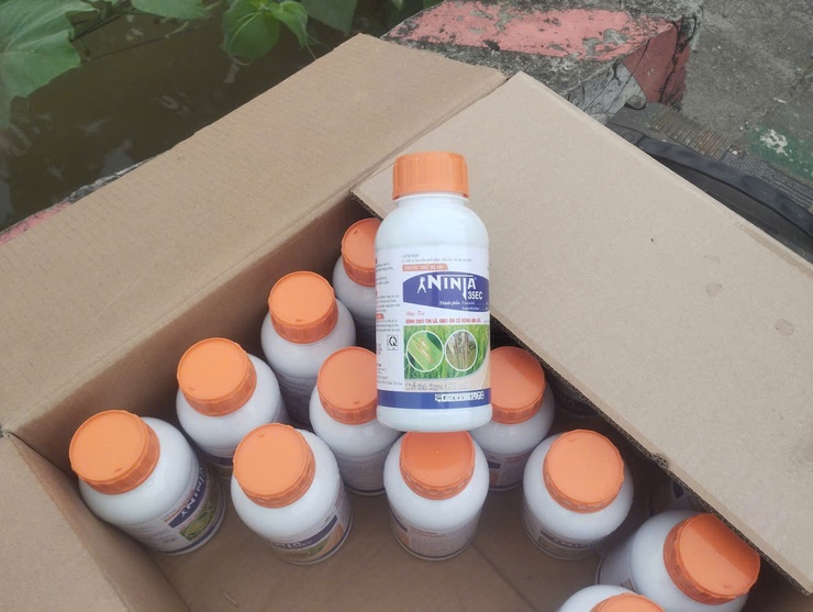 THÔN NGŨ LUÂN ỨNG DỤNG THIẾT BỊ BAY PHÒNG TRỪ BỆNH ĐẠO ÔN LÚA XUÂN- Ảnh 1.