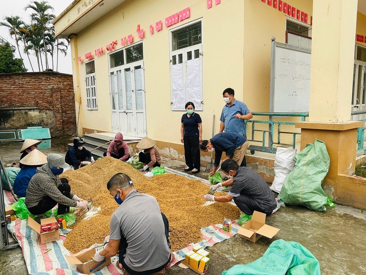 Trung tâm dịch vụ tổng hợp xã Phú Nghĩa tăng cường hướng dẫn diệt chuột bảo vệ lúa vụ xuân- Ảnh 1.