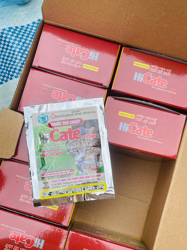 Trung tâm dịch vụ tổng hợp xã Phú Nghĩa tăng cường hướng dẫn diệt chuột bảo vệ lúa vụ xuân- Ảnh 2.