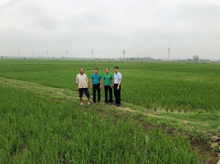 THẨM ĐỊNH THỰC TẾ PHƯƠNG ÁN VAY VỐN QUỸ HỖ TRỢ NÔNG DÂN- Ảnh 2.