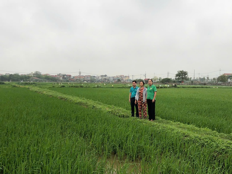 THẨM ĐỊNH THỰC TẾ PHƯƠNG ÁN VAY VỐN QUỸ HỖ TRỢ NÔNG DÂN- Ảnh 3.