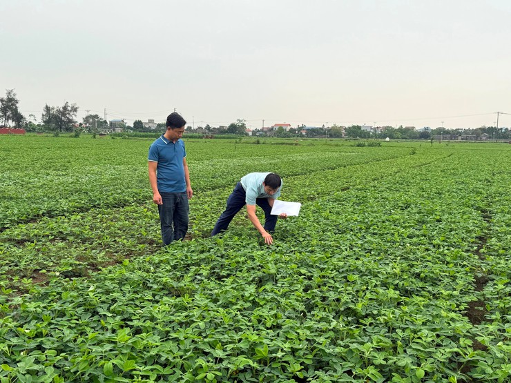 HÒA XÁ: TỪ NHỮNG "HẠT NHÂN" ĐỔI MỚI ĐẾN KHÁT VỌNG NÔNG NGHIỆP HÀNG HÓA BỀN VỮNG- Ảnh 1.