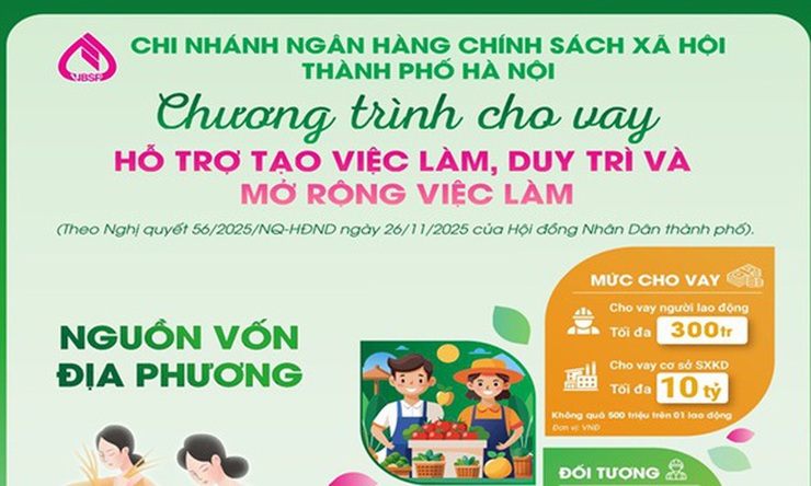 Chương trình cho vay hỗ trợ giải quyết việc làm, duy trì và mở rộng việc làm - nguồn vốn Trung ương- Ảnh 1.