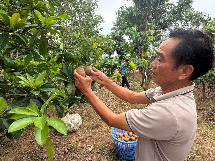 GỠ "NÚT THẮT" ĐỂ NÔNG NGHIỆP HÒA XÁ PHÁT TRIỂN BỀN VỮNG - TỪ KHÁT VỌNG MỞ RỘNG ĐẾN YÊU CẦU TÁI CẤU TRÚC- Ảnh 3.