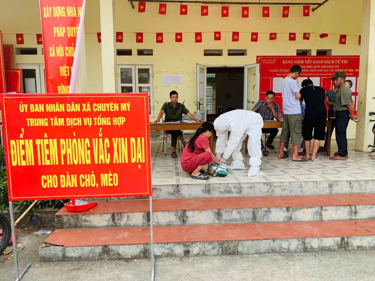 Chuyên Mỹ:Triển khai tiêm vắc xin phòng, dại cho đàn chó, mèo và tiêm phòng vắc xin cho đàn gia súc, gia cầm- Ảnh 1.