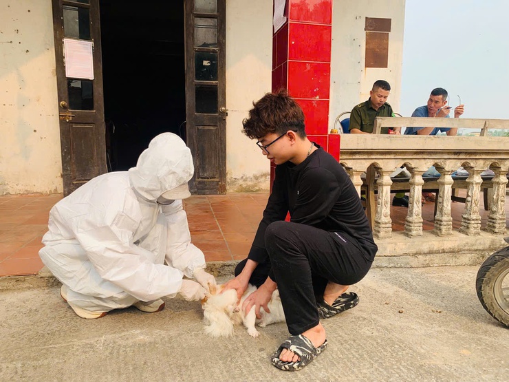 Chuyên Mỹ:Triển khai tiêm vắc xin phòng, dại cho đàn chó, mèo và tiêm phòng vắc xin cho đàn gia súc, gia cầm- Ảnh 2.