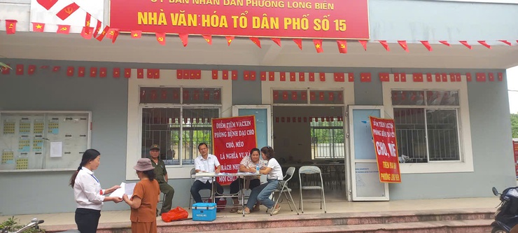 Long Biên tăng tốc tiêm phòng dại trên đàn chó mèo- Ảnh 2.