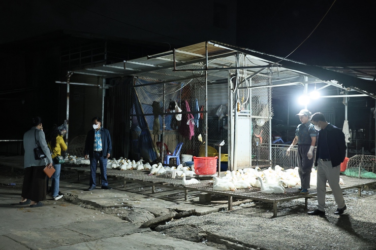 Xã Quảng Bị tăng cường quản lý giết mổ, kinh doanh sản phẩm động vật: Người dân cần nghiêm túc chấp hành- Ảnh 5.