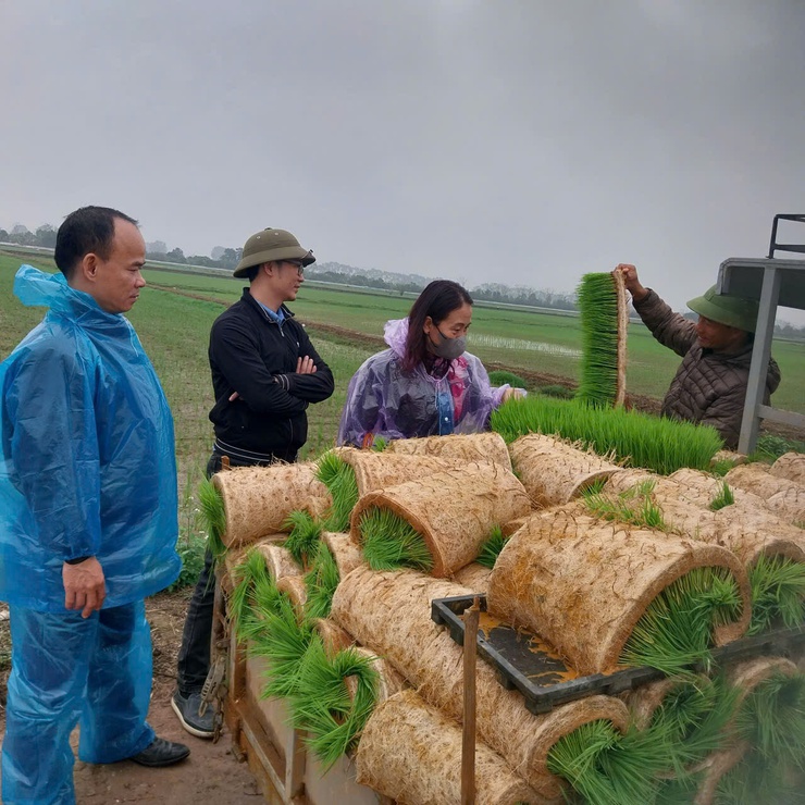 GỠ "NÚT THẮT" ĐỂ NÔNG NGHIỆP HÒA XÁ PHÁT TRIỂN BỀN VỮNG - TỪ KHÁT VỌNG MỞ RỘNG ĐẾN YÊU CẦU TÁI CẤU TRÚC- Ảnh 4.