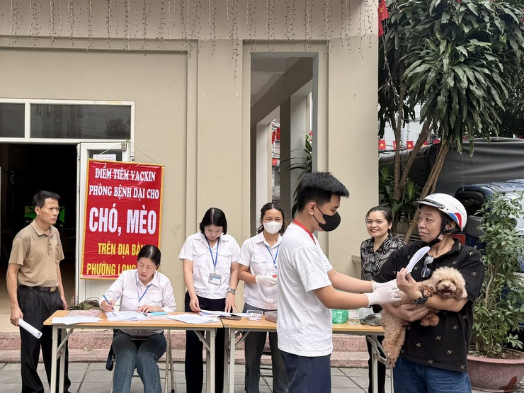 Long Biên tăng tốc tiêm phòng dại trên đàn chó mèo- Ảnh 1.