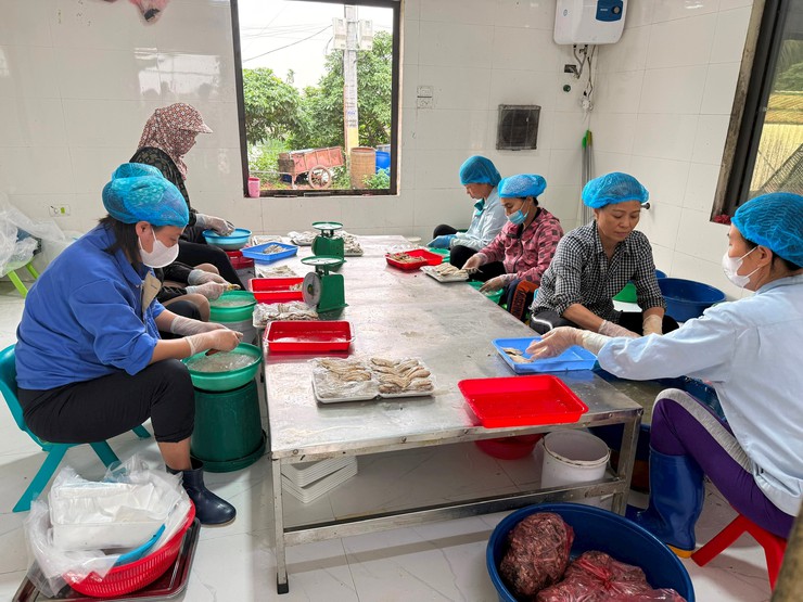 HÒA XÁ: TỪ NHỮNG "HẠT NHÂN" ĐỔI MỚI ĐẾN KHÁT VỌNG NÔNG NGHIỆP HÀNG HÓA BỀN VỮNG- Ảnh 3.