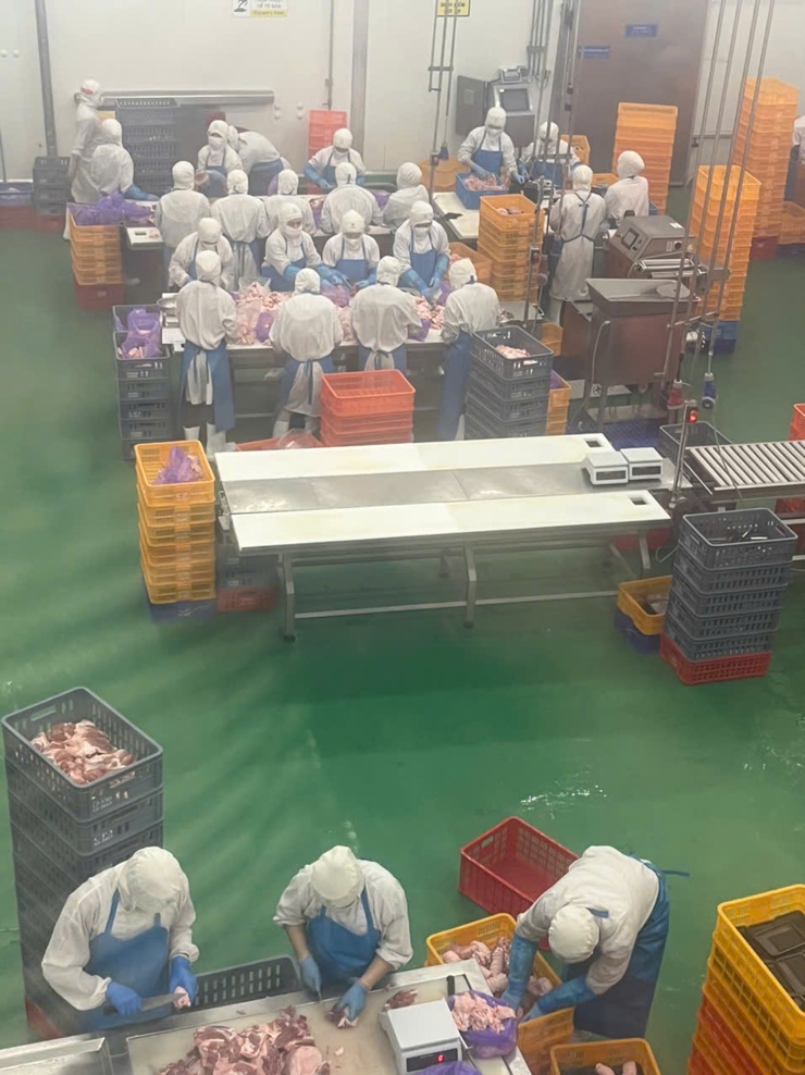 Xã Thượng Phúc tăng cường truy xuất nguồn gốc thực phẩm, đảm bảo an toàn bữa ăn bán trú năm học 2025 – 2026- Ảnh 2.