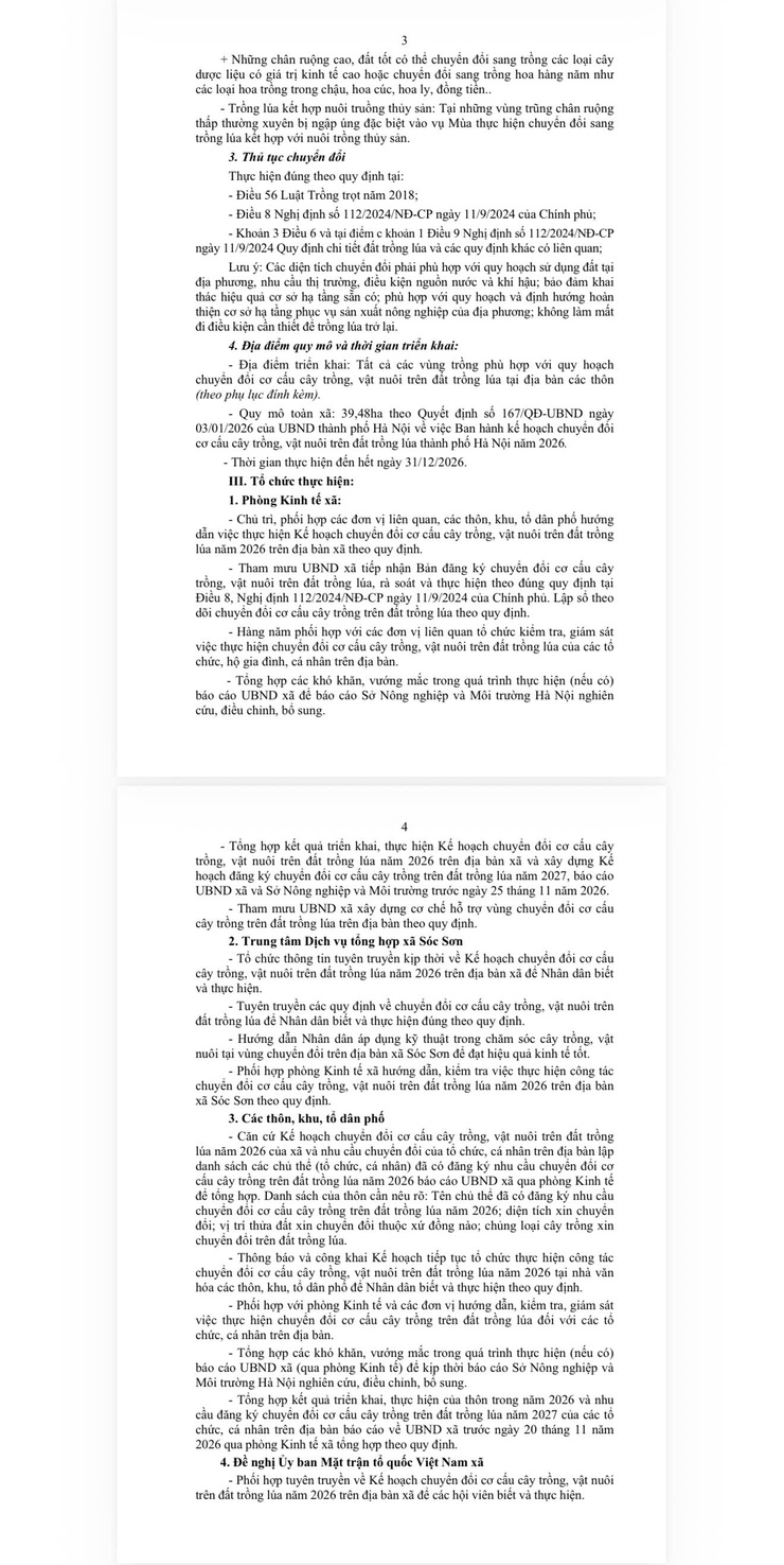 THÔNG BÁO Về việc niêm yết công khai Kế hoạch chuyển đổi cơ cấu cây trồng, vật nuôi trên đất trồng lúa năm 2026- Ảnh 2.