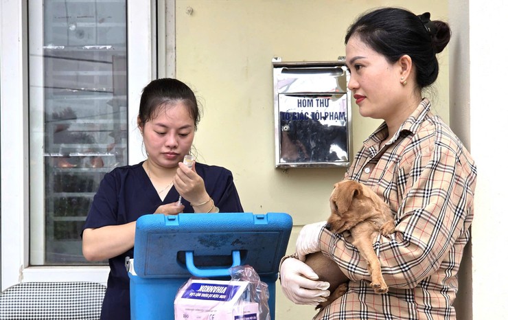 Bát Tràng tổ chức tiêm phòng vắc xin dại cho đàn chó, mèo trên địa bàn xã- Ảnh 3.