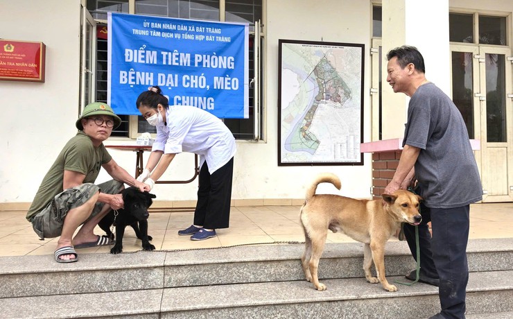 Bát Tràng tổ chức tiêm phòng vắc xin dại cho đàn chó, mèo trên địa bàn xã- Ảnh 2.