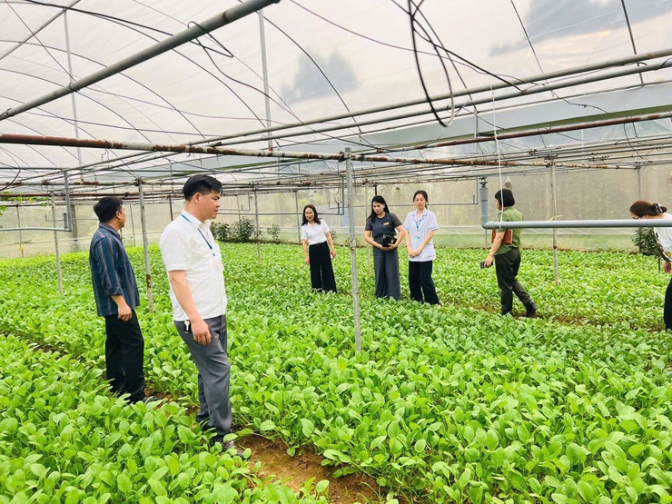 Tăng cường kiểm tra an toàn thực phẩm bữa ăn bán trú tại các cơ sở giáo dục- Ảnh 2.