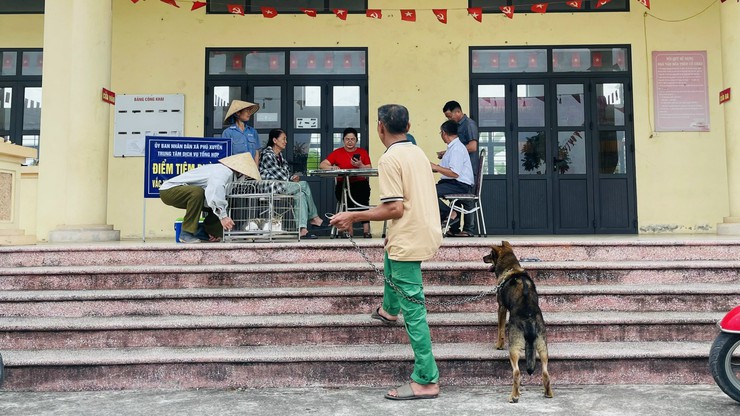 PHÚ XUYÊN: TRIỂN KHAI TIÊM VẮC XIN PHÒNG DẠI CHO ĐÀN CHÓ, MÈO VÀ TIÊM PHÒNG VẮC XIN CHO ĐÀN GIA SÚC, GIA CẦM - Ảnh 3.