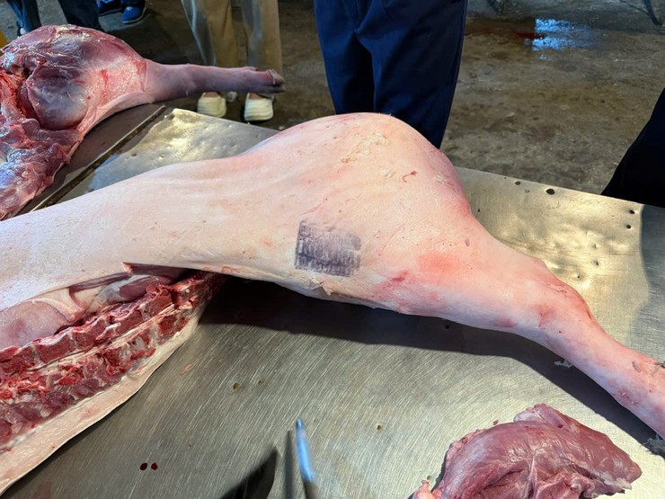 Đoàn kiểm tra liên ngành ATTP xã Đại Thanh kiểm tra việc giết mổ, buôn bán động vật và sản phẩm có nguồn gốc từ động vật tại các gian hàng chợ Tam Hiệp (thôn Huỳnh Cung) và chợ Quỳnh Đô (thôn Quỳnh Đô)- Ảnh 9.