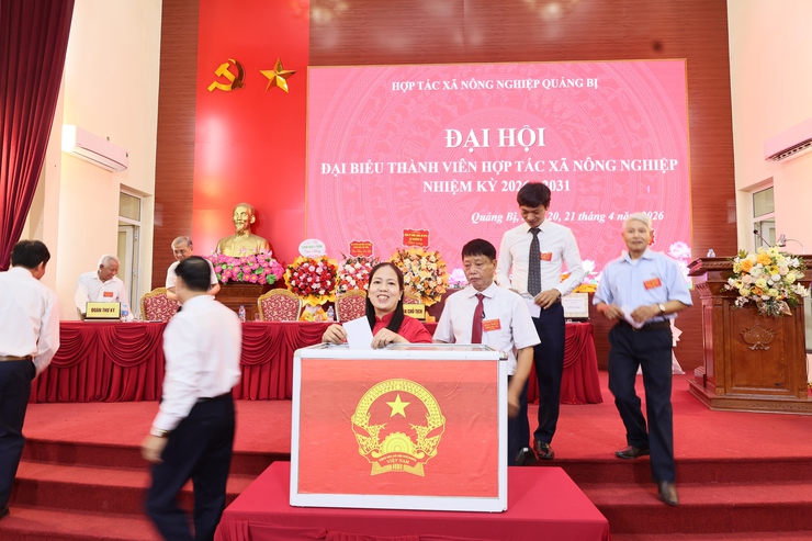 Đại hội Hợp tác xã Nông nghiệp Quảng Bị nhiệm kỳ 2026–2031 thành công tốt đẹp- Ảnh 7.