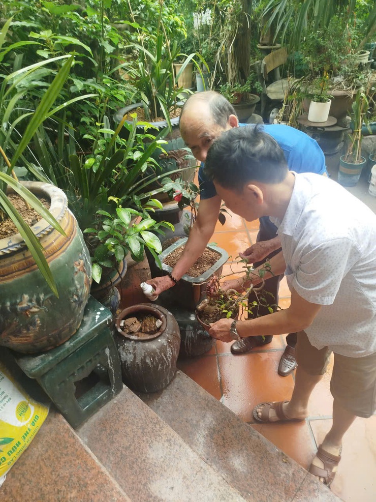 PHƯỜNG XUÂN PHƯƠNG CHỦ ĐỘNG DIỆT BỌ GẬY, PHUN HÓA CHẤT PHÒNG CHỐNG BỆNH SỐT XUẤT HUYẾT- Ảnh 1.