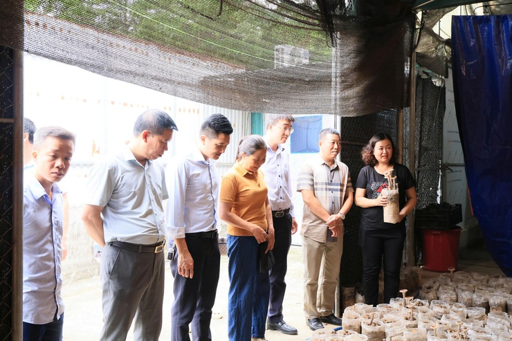 Công ty TNHH Syngenta phối hợp với Trung tâm Dịch vụ tổng hợp xã Thư Lâm tổ chức Hội nghị tọa đàm “Giải pháp tối ưu năng suất và chất lượng hạt lúa”- Ảnh 31.