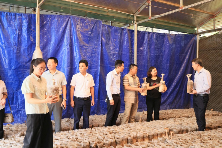 Công ty TNHH Syngenta phối hợp với Trung tâm Dịch vụ tổng hợp xã Thư Lâm tổ chức Hội nghị tọa đàm “Giải pháp tối ưu năng suất và chất lượng hạt lúa”- Ảnh 33.