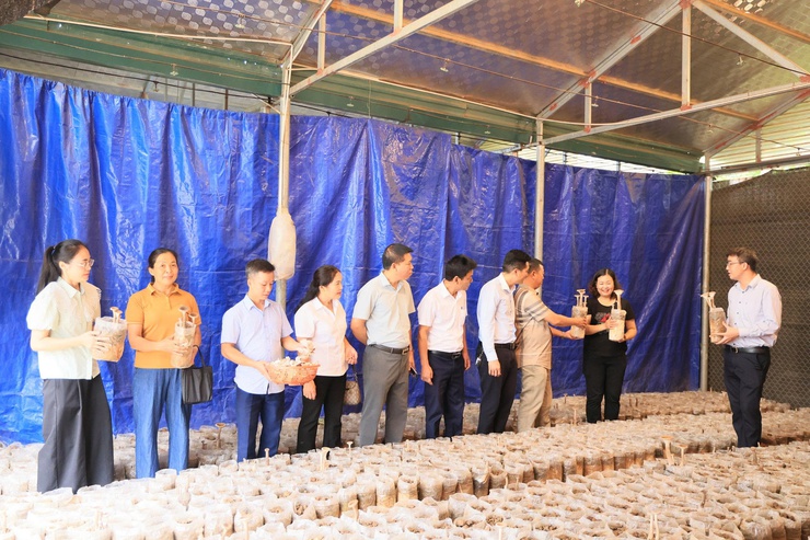 Công ty TNHH Syngenta phối hợp với Trung tâm Dịch vụ tổng hợp xã Thư Lâm tổ chức Hội nghị tọa đàm “Giải pháp tối ưu năng suất và chất lượng hạt lúa”- Ảnh 34.