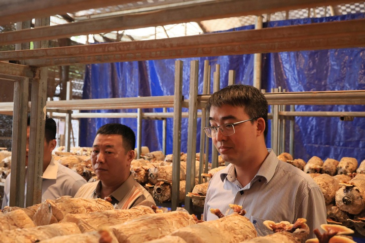 Công ty TNHH Syngenta phối hợp với Trung tâm Dịch vụ tổng hợp xã Thư Lâm tổ chức Hội nghị tọa đàm “Giải pháp tối ưu năng suất và chất lượng hạt lúa”- Ảnh 36.