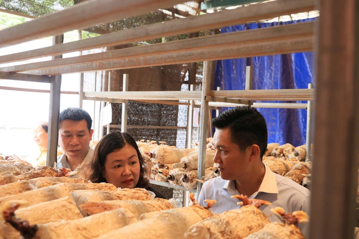 Công ty TNHH Syngenta phối hợp với Trung tâm Dịch vụ tổng hợp xã Thư Lâm tổ chức Hội nghị tọa đàm “Giải pháp tối ưu năng suất và chất lượng hạt lúa”- Ảnh 37.