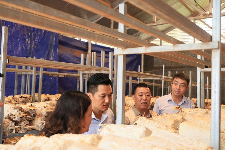 Công ty TNHH Syngenta phối hợp với Trung tâm Dịch vụ tổng hợp xã Thư Lâm tổ chức Hội nghị tọa đàm “Giải pháp tối ưu năng suất và chất lượng hạt lúa”- Ảnh 38.