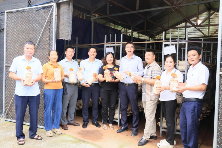 Công ty TNHH Syngenta phối hợp với Trung tâm Dịch vụ tổng hợp xã Thư Lâm tổ chức Hội nghị tọa đàm “Giải pháp tối ưu năng suất và chất lượng hạt lúa”- Ảnh 39.