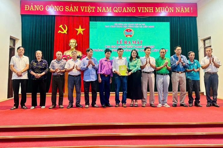 Hội Nông dân xã: Ra mắt Chi hội trồng rau hữu cơ- Ảnh 1.