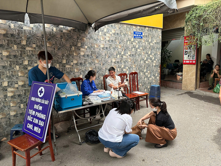 Triển khai 12 điểm tiêm vắc xin phòng Dại cho đàn chó, mèo- Ảnh 1.